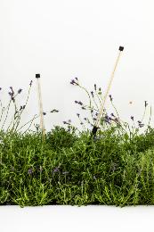 Estaca BAMBOU 1068 Estaca negro Faro Barcelona