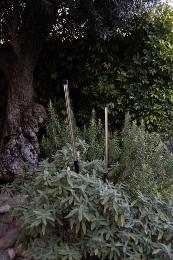 Estaca BAMBOU 1268 negro Faro Barcelona