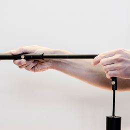 Aplique extensible WHIZZ oro satinado y negro Faro