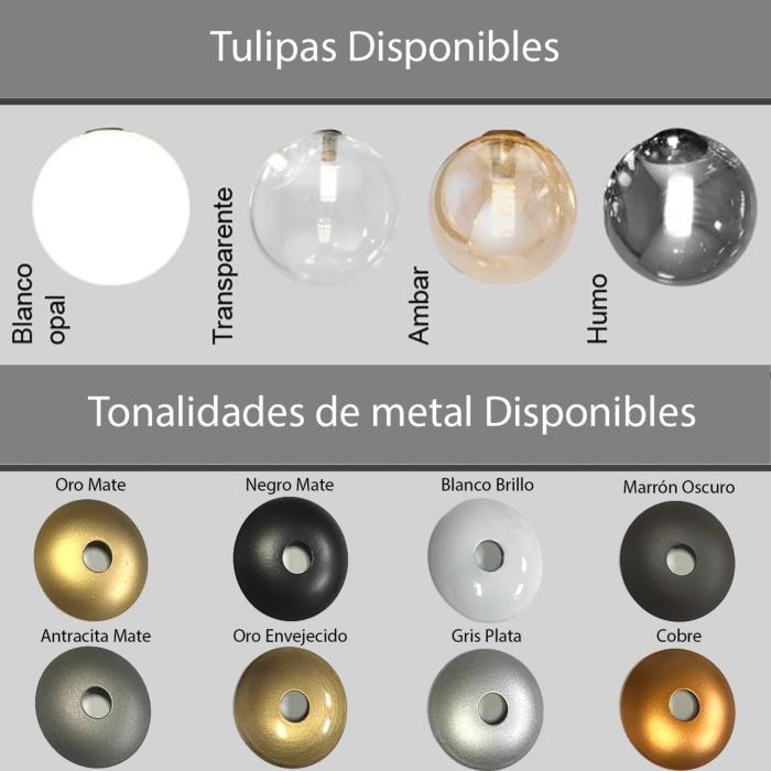 Tulipas y tonalides