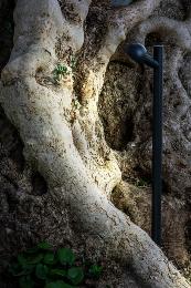 Estaca BROT 600 negra Faro Barcelona